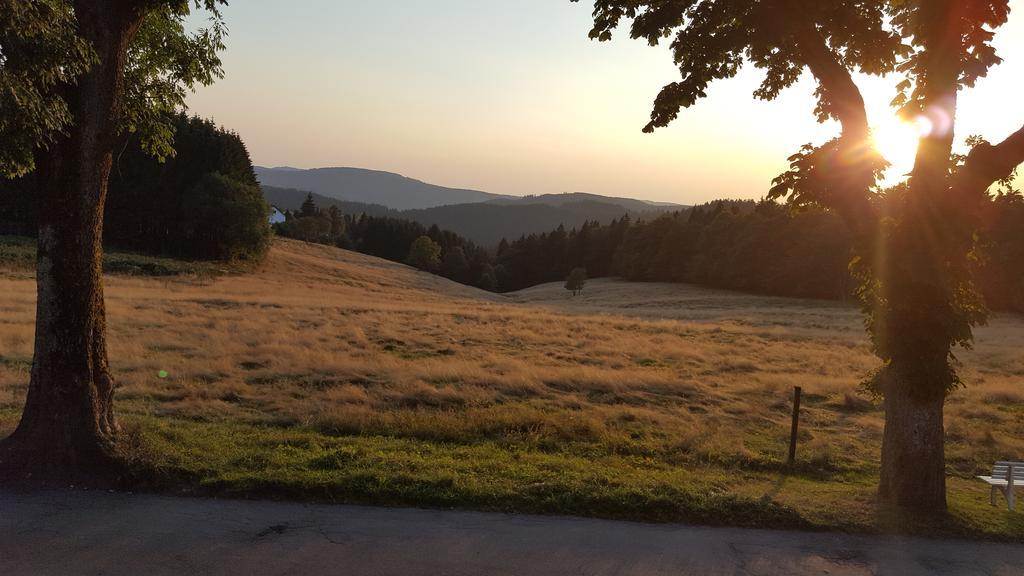 Hotel Pension Fernblick Sankt Andreasberg Bagian luar foto